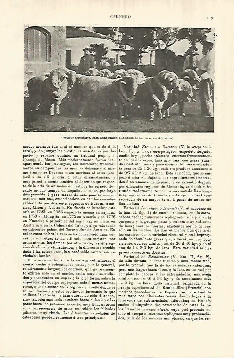 LAMINA ESPASA 28385: Hacienda de las Acacias en Argentina