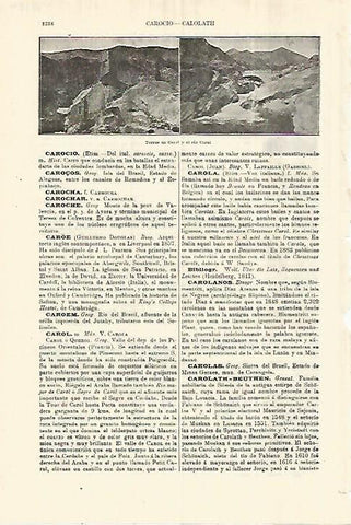 LAMINA ESPASA 28389: Torres de Carol y el rio Carol Francia