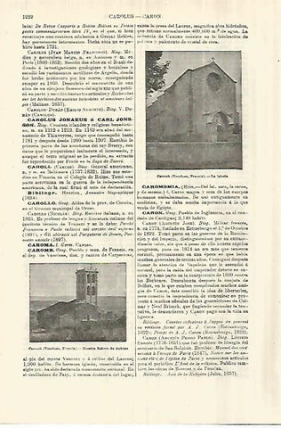 LAMINA ESPASA 28393: Iglesia de Caromb Francia