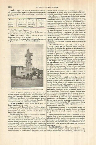 LAMINA ESPASA 28404: Monumento a los martires de 1846 en Carral A Coruña