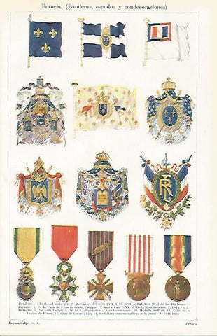 LAMINA ESPASA 28474: Banderas escudos y condecoraciones de Francia