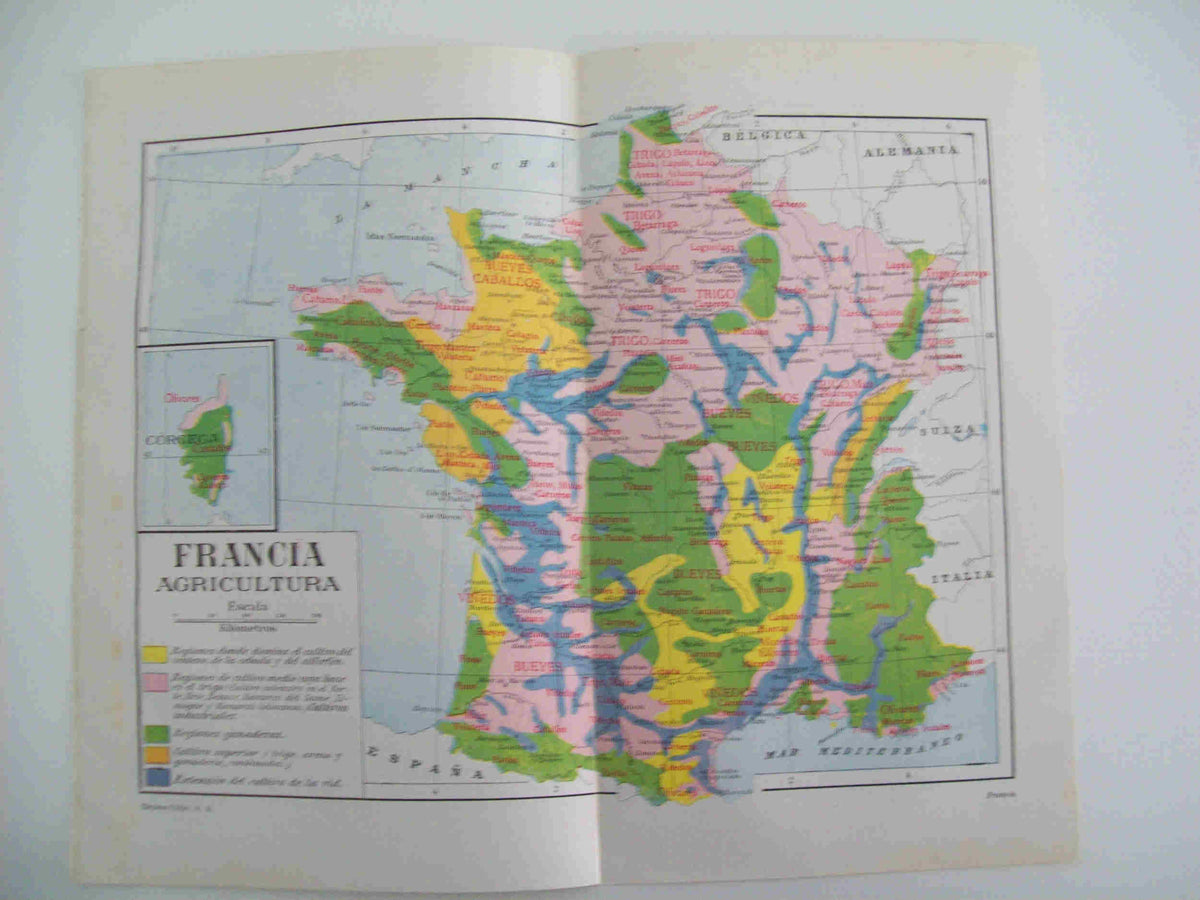 LAMINA ESPASA 28481: Mapa de la agricultura de Francia