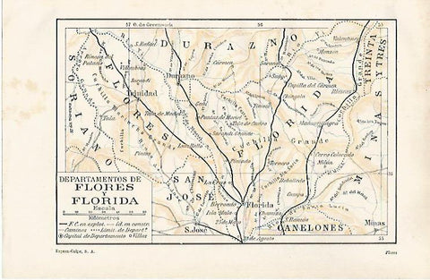 LAMINA ESPASA 28516: Mapa de Flores y Florida