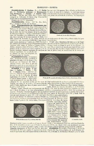 LAMINA ESPASA 28523: Florines