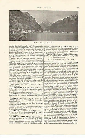 LAMINA ESPASA 28524: Lago de Fluelen Suiza