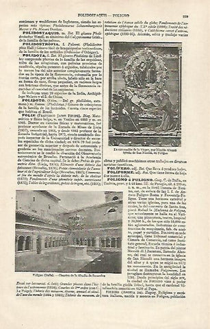 LAMINA ESPASA 28537: Abadia de Sassovive Italia