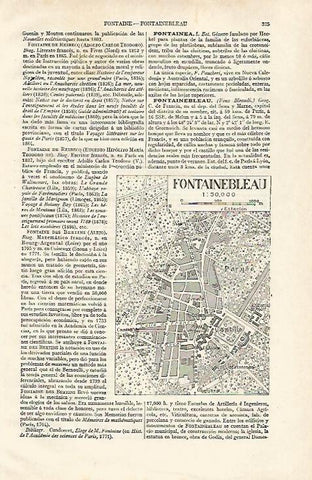 LAMINA ESPASA 28542: Plano de Fontainebleau
