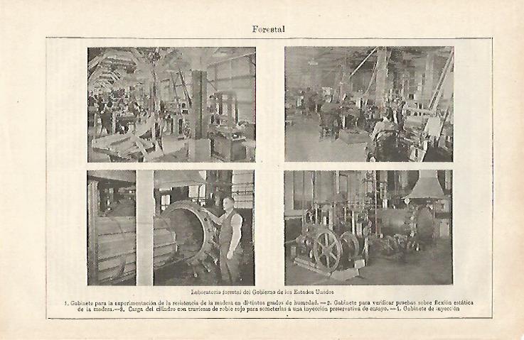LAMINA ESPASA 28554: Laboratorio Forestal de Estados Unidos