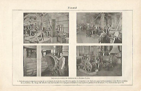 LAMINA ESPASA 28554: Laboratorio Forestal de Estados Unidos