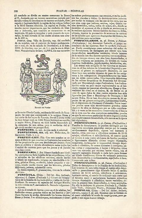 LAMINA ESPASA 28555: Escudo de Forfar
