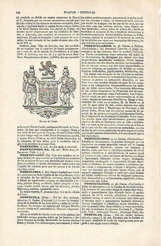 LAMINA ESPASA 28555: Escudo de Forfar