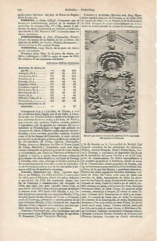 LAMINA ESPASA 28564: Escudo de la Casa del marques de Foronda