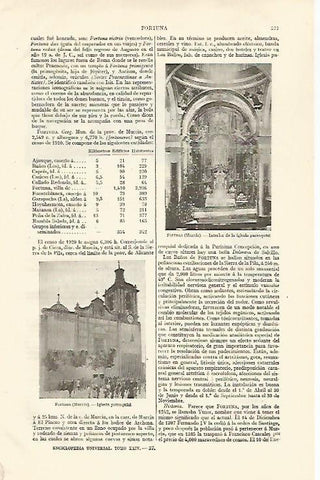 LAMINA ESPASA 28572: Iglesia de Fortuna Murcia