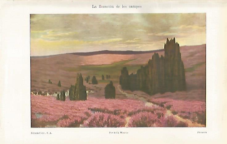 LAMINA ESPASA 28591: La floracion de los campos por Sofia Wencke