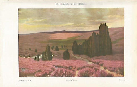 LAMINA ESPASA 28591: La floracion de los campos por Sofia Wencke