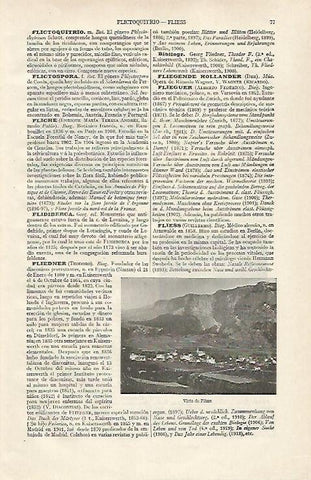 LAMINA ESPASA 28598: Vista de Flims Suiza