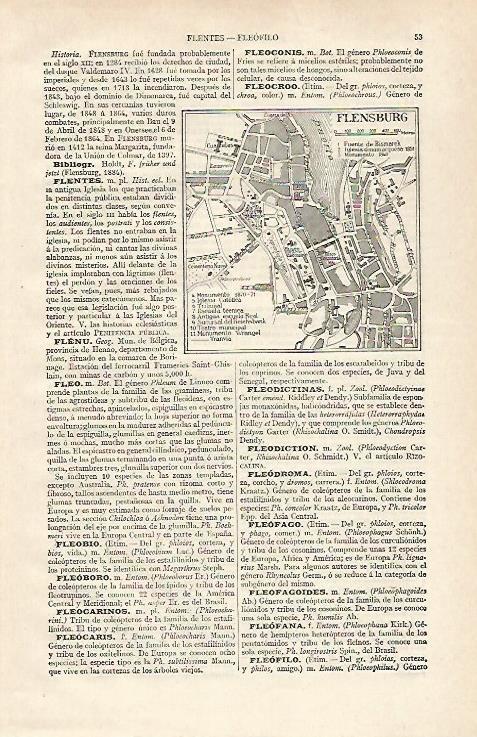 LAMINA ESPASA 28601: Plano de Flensburg Alemania
