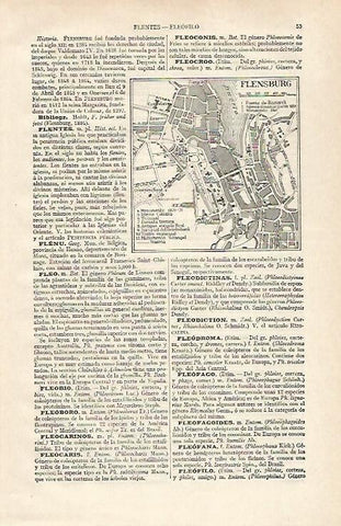 LAMINA ESPASA 28601: Plano de Flensburg Alemania