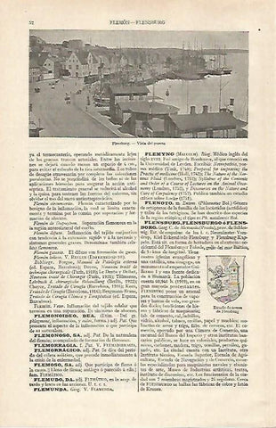 LAMINA ESPASA 28603: Puerto de Flensburg Alemania