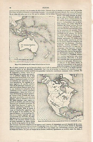 LAMINA ESPASA 28604: Mapa de la distribucion del veneno de flechas en Oceania
