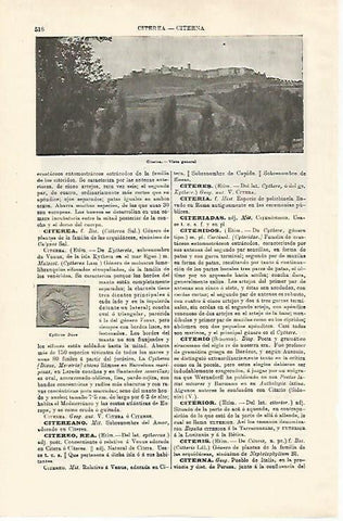 LAMINA ESPASA 28610: Vista de Cisterea Grecia