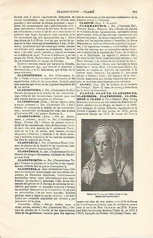 LAMINA ESPASA 28635: Cabeza de Virgen por Pedro Clacia el Viejo