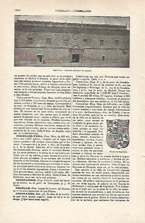 LAMINA ESPASA 28702: Palacio de Cogolludo Guadalajara