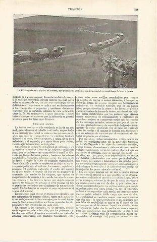 LAMINA ESPASA 28727: La Via Sagrada en la batalla de Verdun