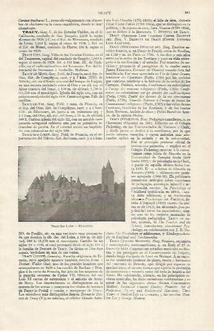 LAMINA ESPASA 28752: Castillo de Tracy-sur-Loire Francia
