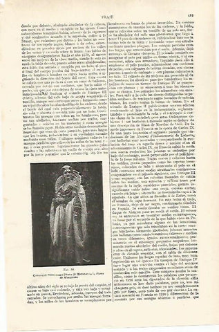 LAMINA ESPASA 28787: Genoveva Felix como Diana de Meridor