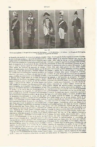 LAMINA ESPASA 28805: Uniformes de Inglaterra