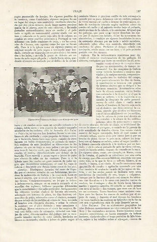 LAMINA ESPASA 28829:Trajes tipicos de Ibiza