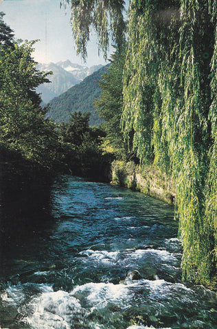 POSTAL B6067: FRANCIA: GAVE DES PYRENEES 