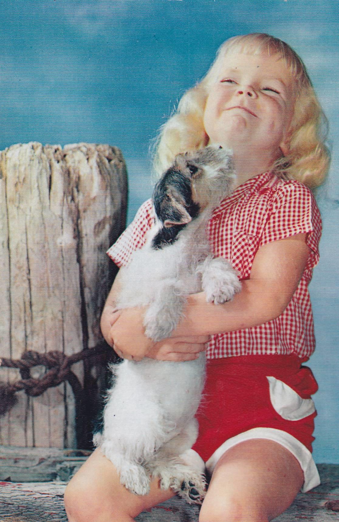 POSTAL B6084: IMAGEN NIÑA CON PERRO