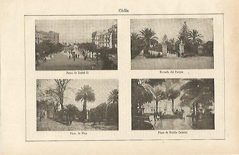 LAMINA ESPASA 14645: Parques y plazas de Cadiz
