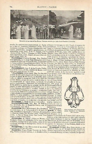 LAMINA ESPASA 16094: Episodios de la vida de San Bruno