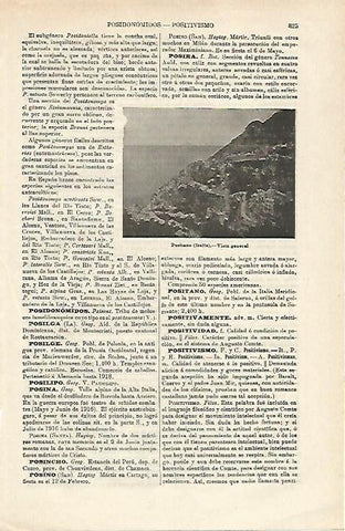 LAMINA ESPASA 17247: Vista de Positano Italia