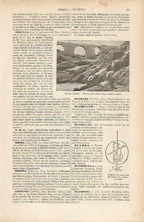 LAMINA ESPASA 19591: Puente en Sbeitla Tunez