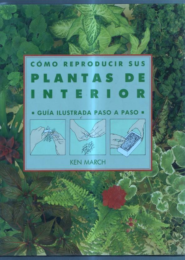 Como reproducir sus plantas de interior