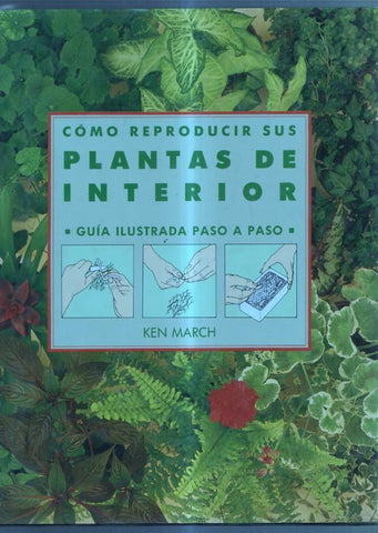 Como reproducir sus plantas de interior