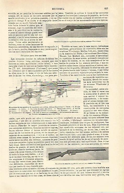 LAMINA ESPASA 16595: Carabina de caza