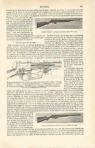 LAMINA ESPASA 16595: Carabina de caza