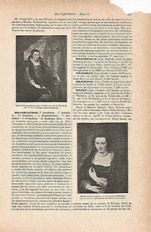 LAMINA ESPASA 11689: Isabel Brant por Rubens y por Van Dyck
