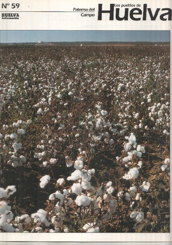 Los pueblos de Huelva numero 59: paterna del campo