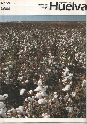 Los pueblos de Huelva numero 59: paterna del campo