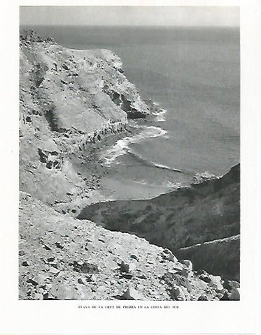 LAMINA 10347: Playa de la Cruz de Piedra