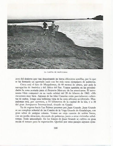 LAMINA 10349: Laguna de Maspalomas