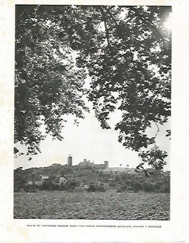 LAMINA 10472: Vista de Pals Girona