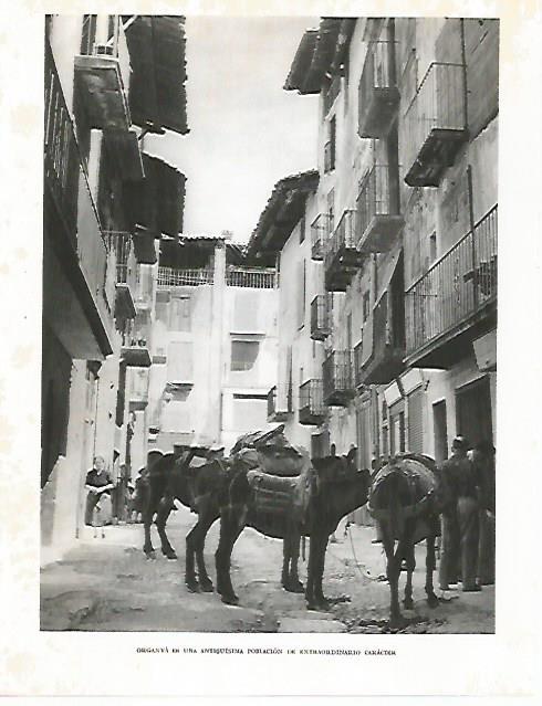 LAMINA 10583: Calle de Organya