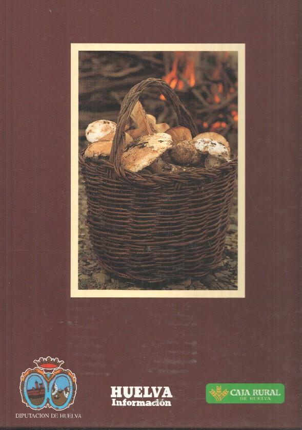 Artes, Costumbres y Riquezas de la provincia de Huelva tapas para volumen cuarto